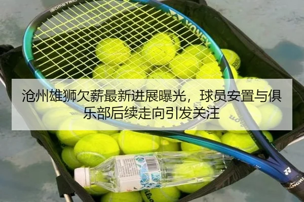 沧州雄狮欠薪最新进展曝光，球员安置与俱乐部后续走向引发关注